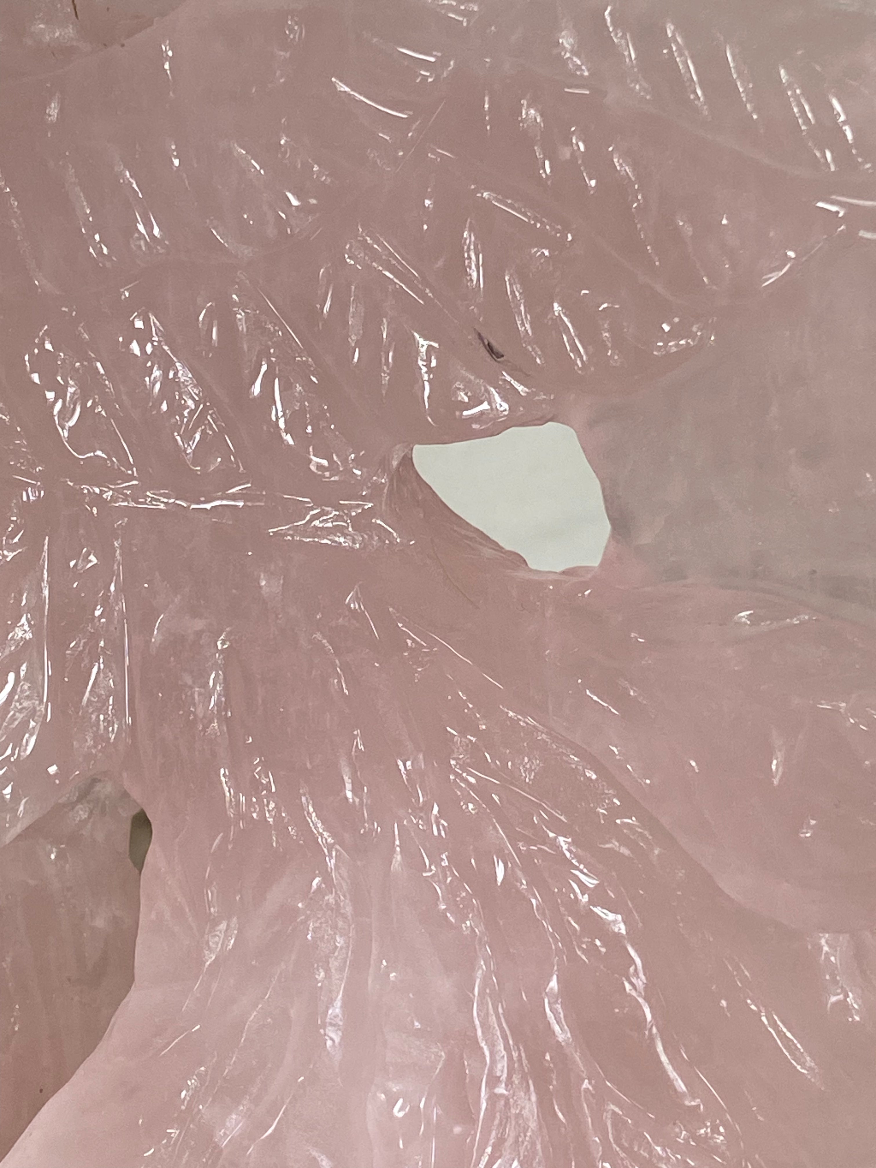Rose Quartz Phoenix