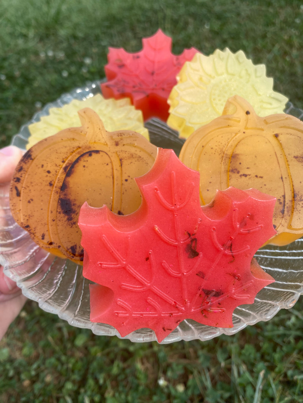 Harvest Soap Pack