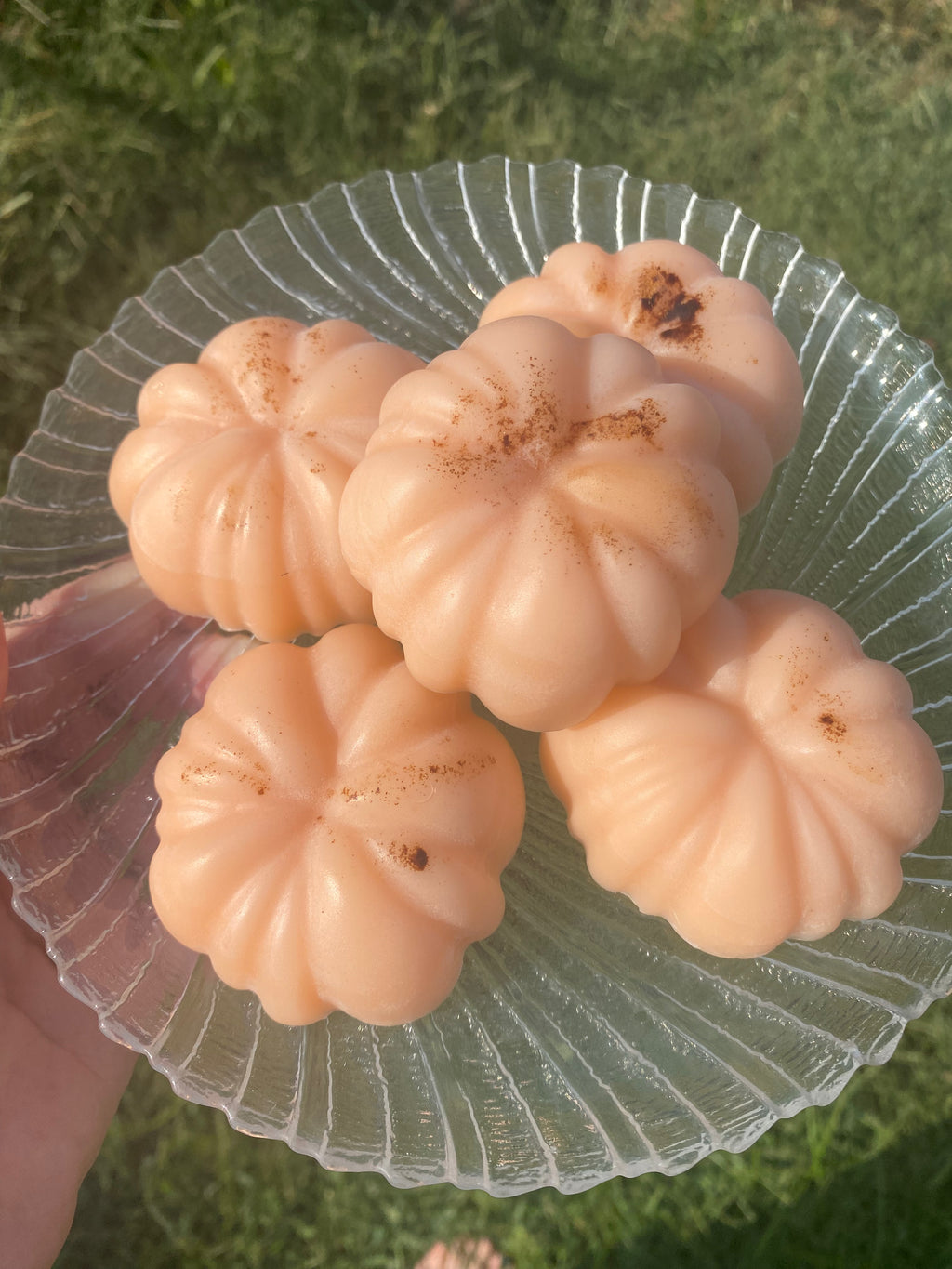 Pumpkin Soap Bar