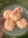 Pumpkin Soap Bar