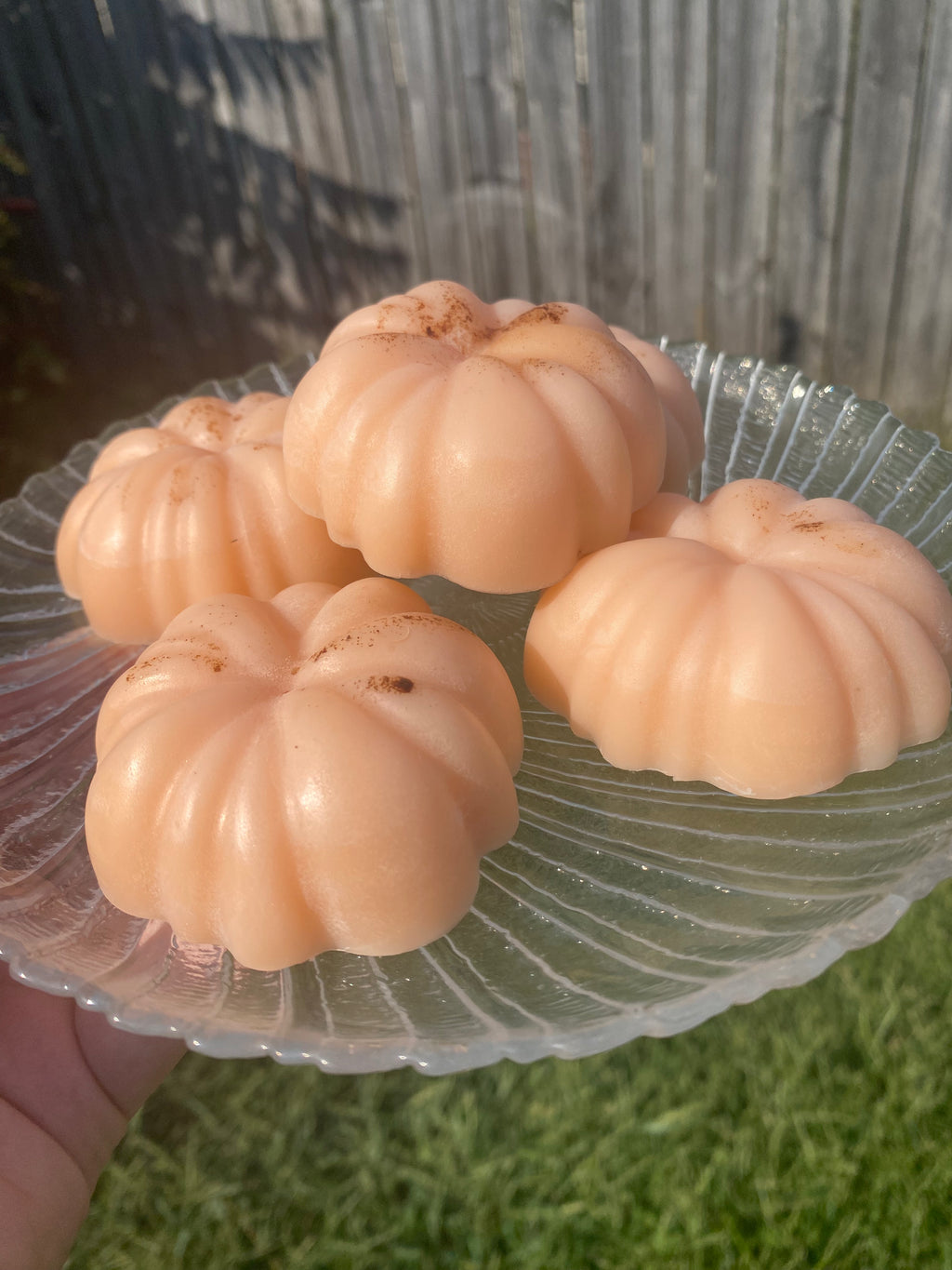 Pumpkin Soap Bar