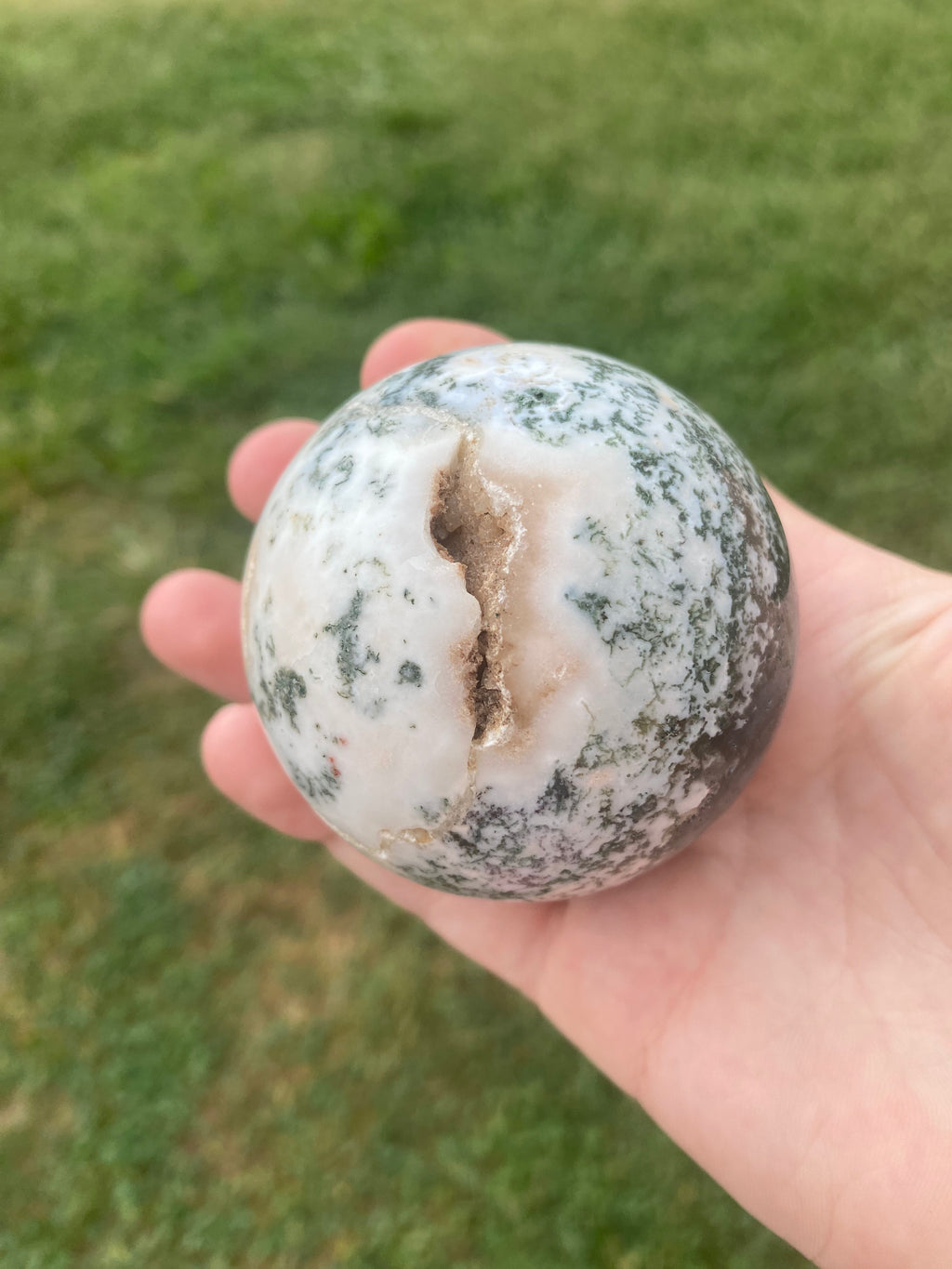 Tree Agate Sphere
