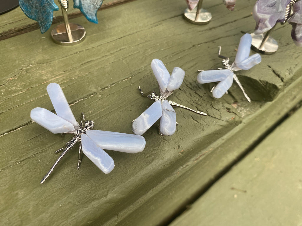 Blue Lace Agate Dragonfly