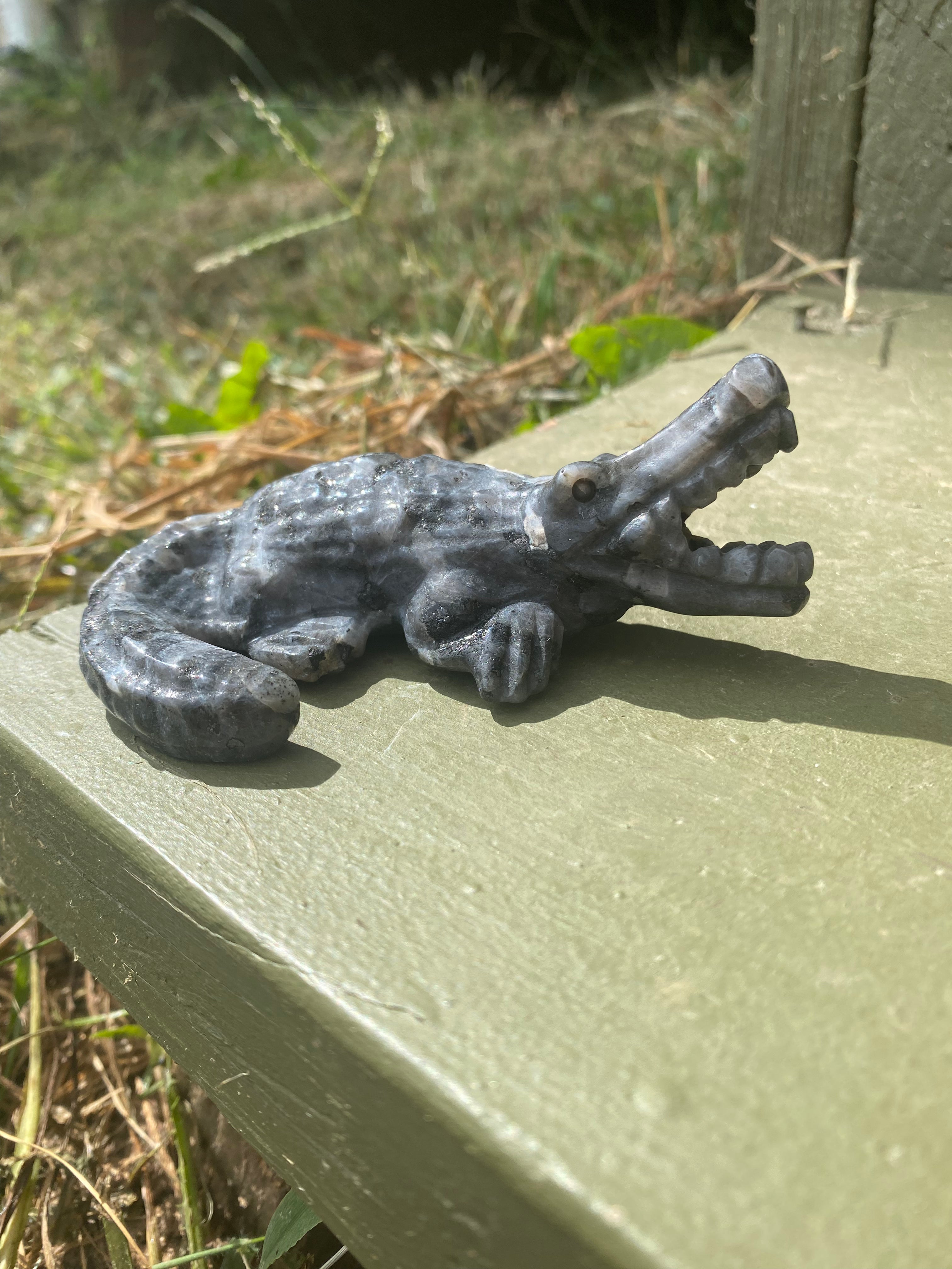 Larvakite Alligator