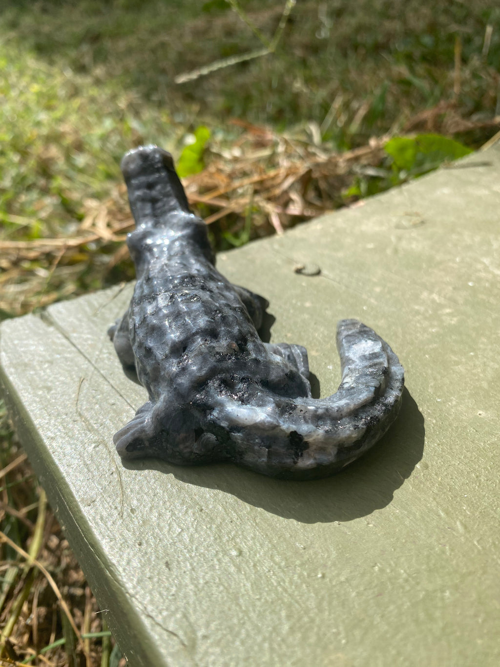Larvakite Alligator