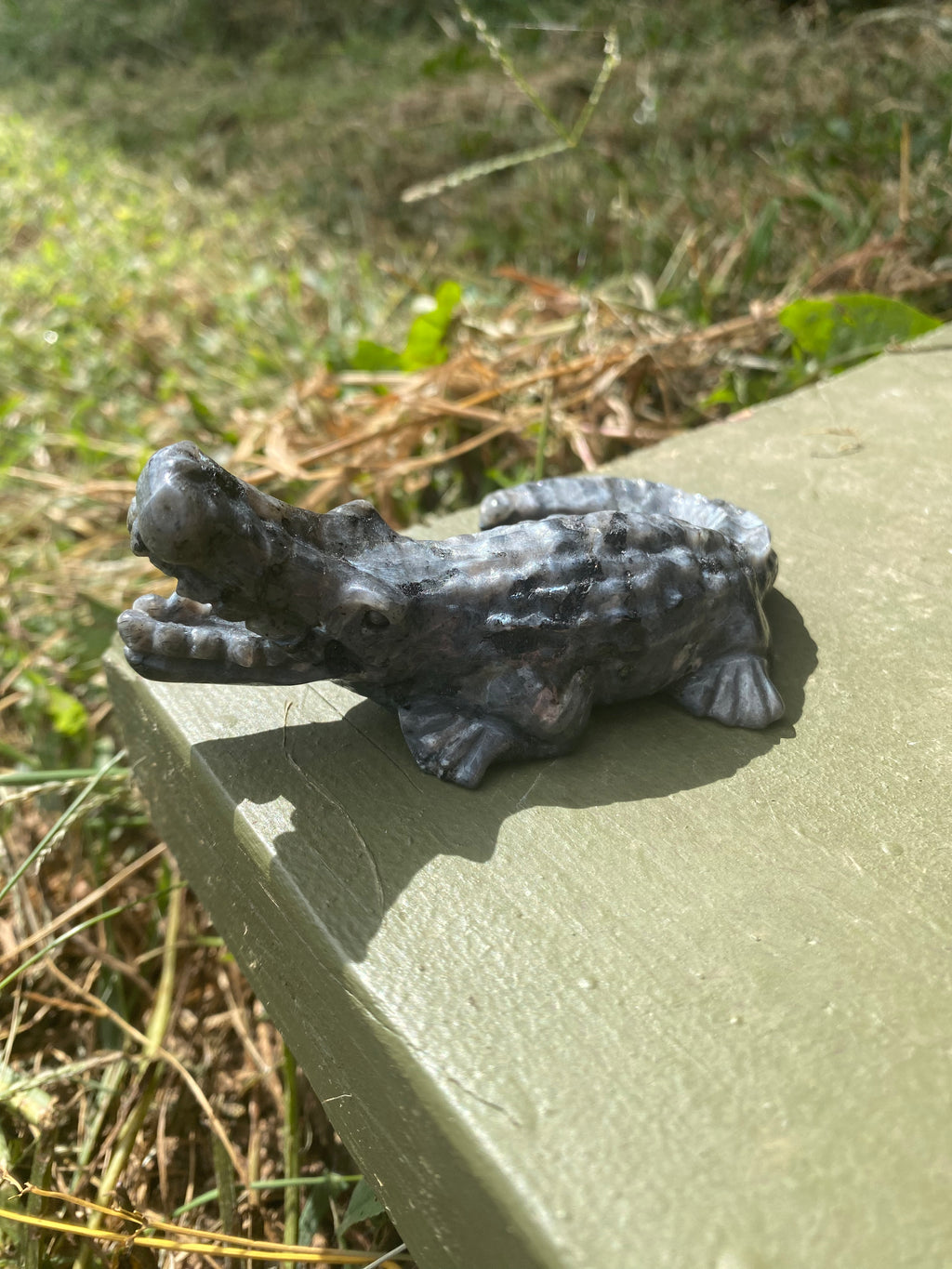Larvakite Alligator