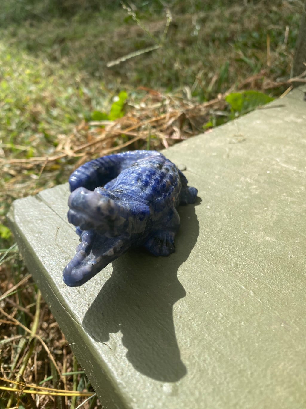 Sodalite Alligator