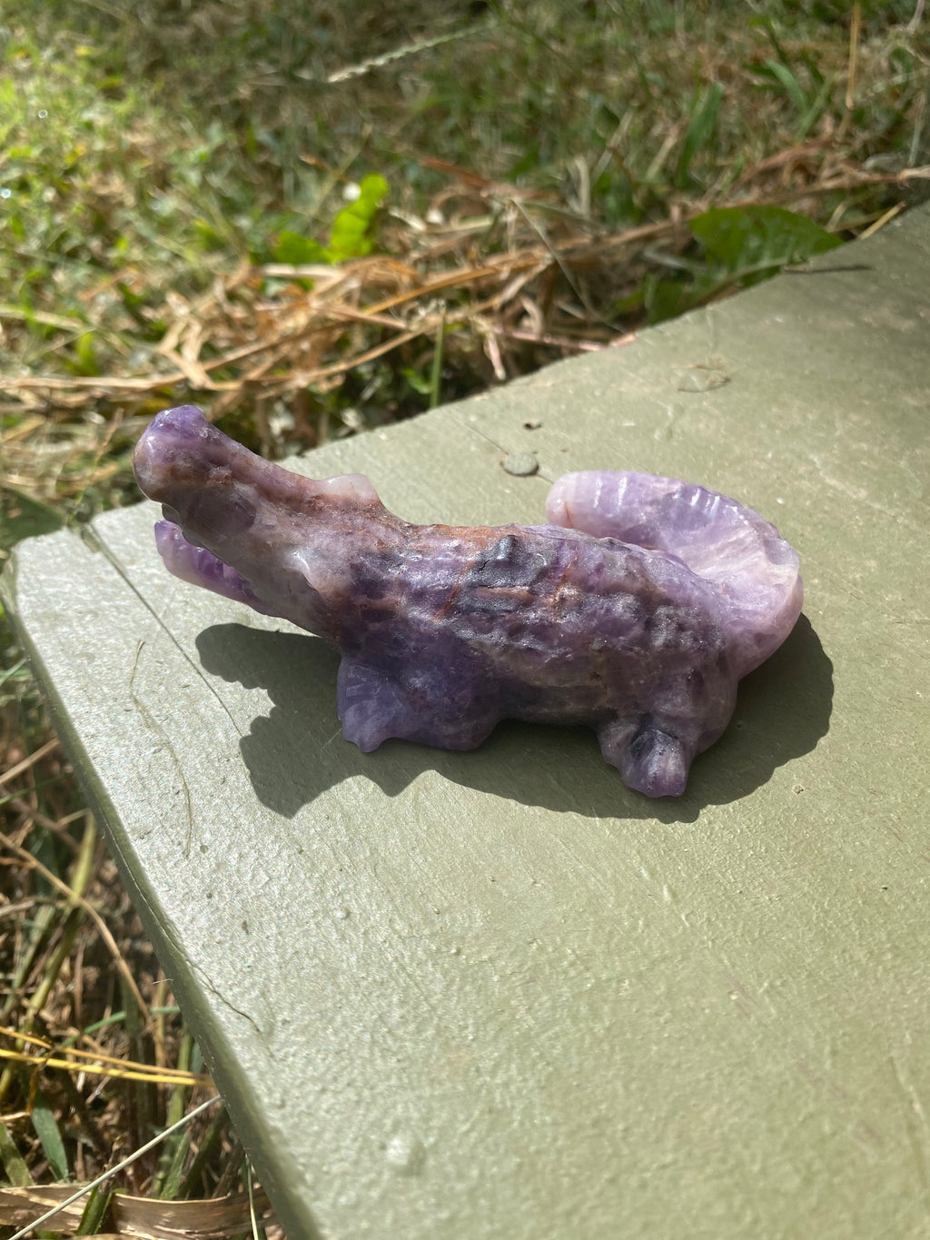 Amethyst Alligator
