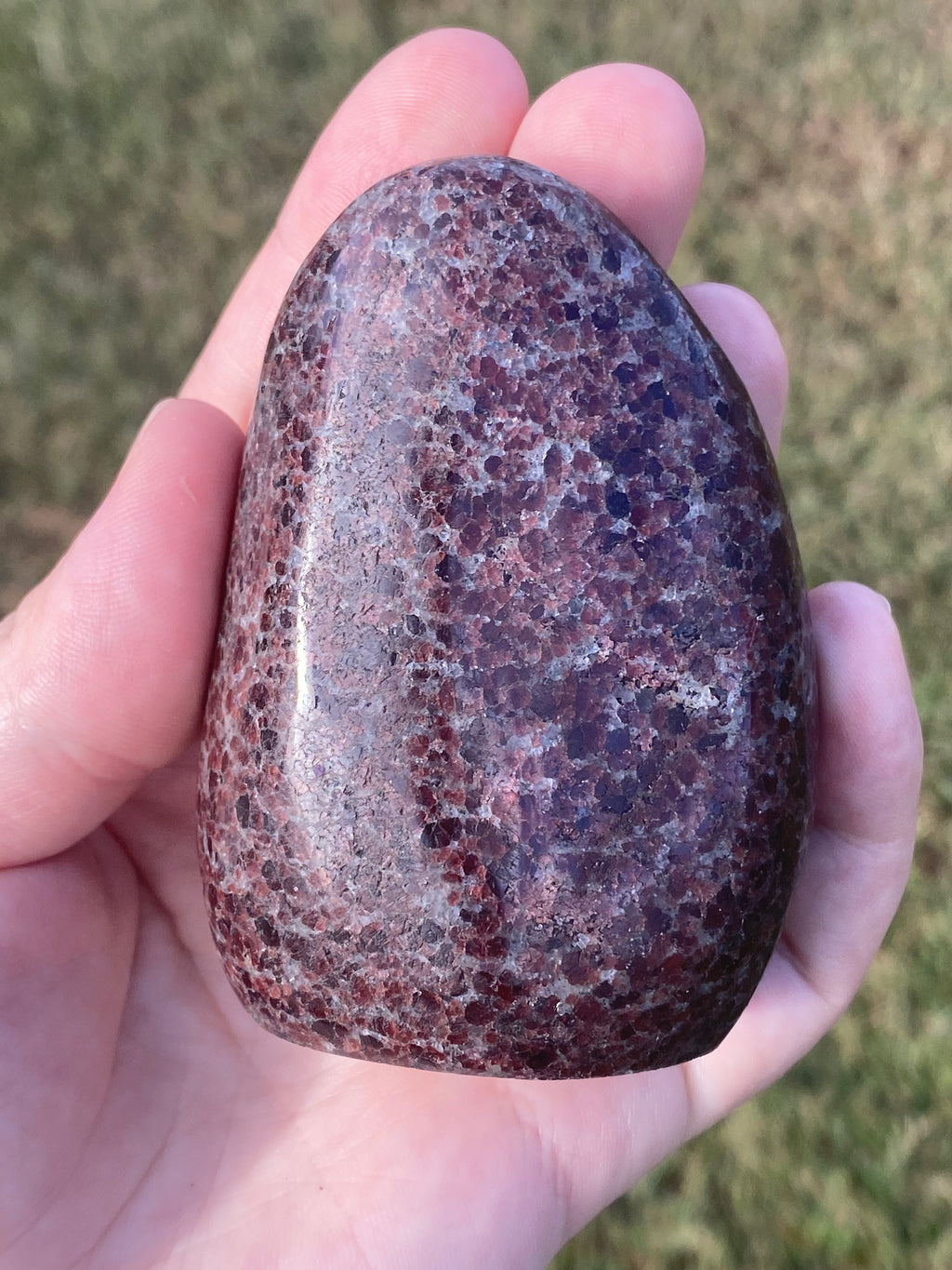 Garnet Freeform