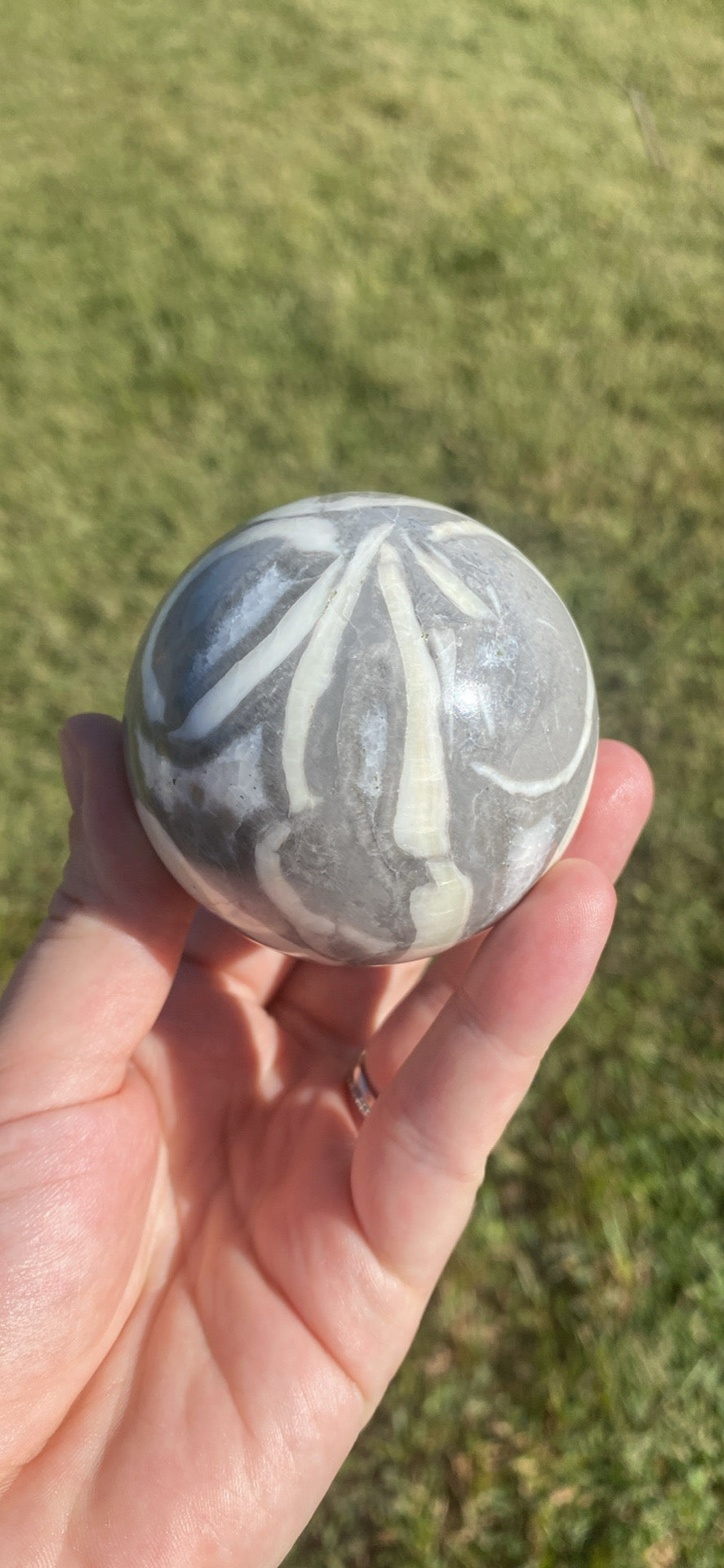 Thousand Eye Jasper Sphere