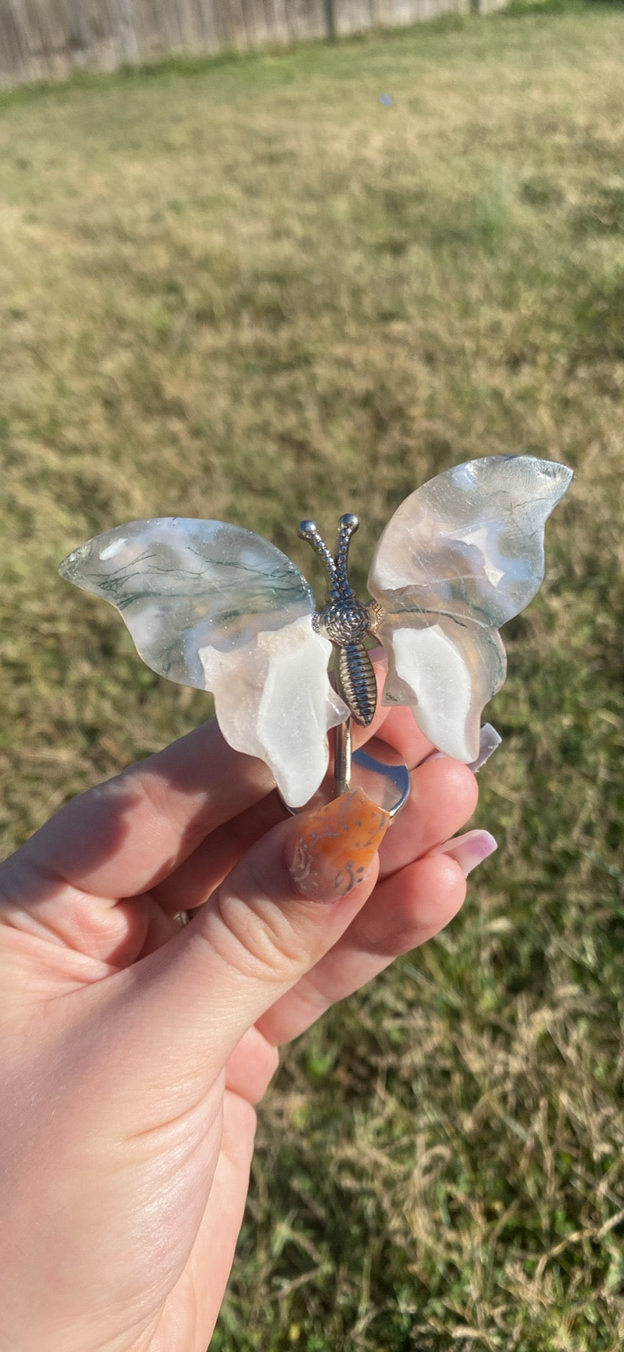 Tree Agate Butterfly