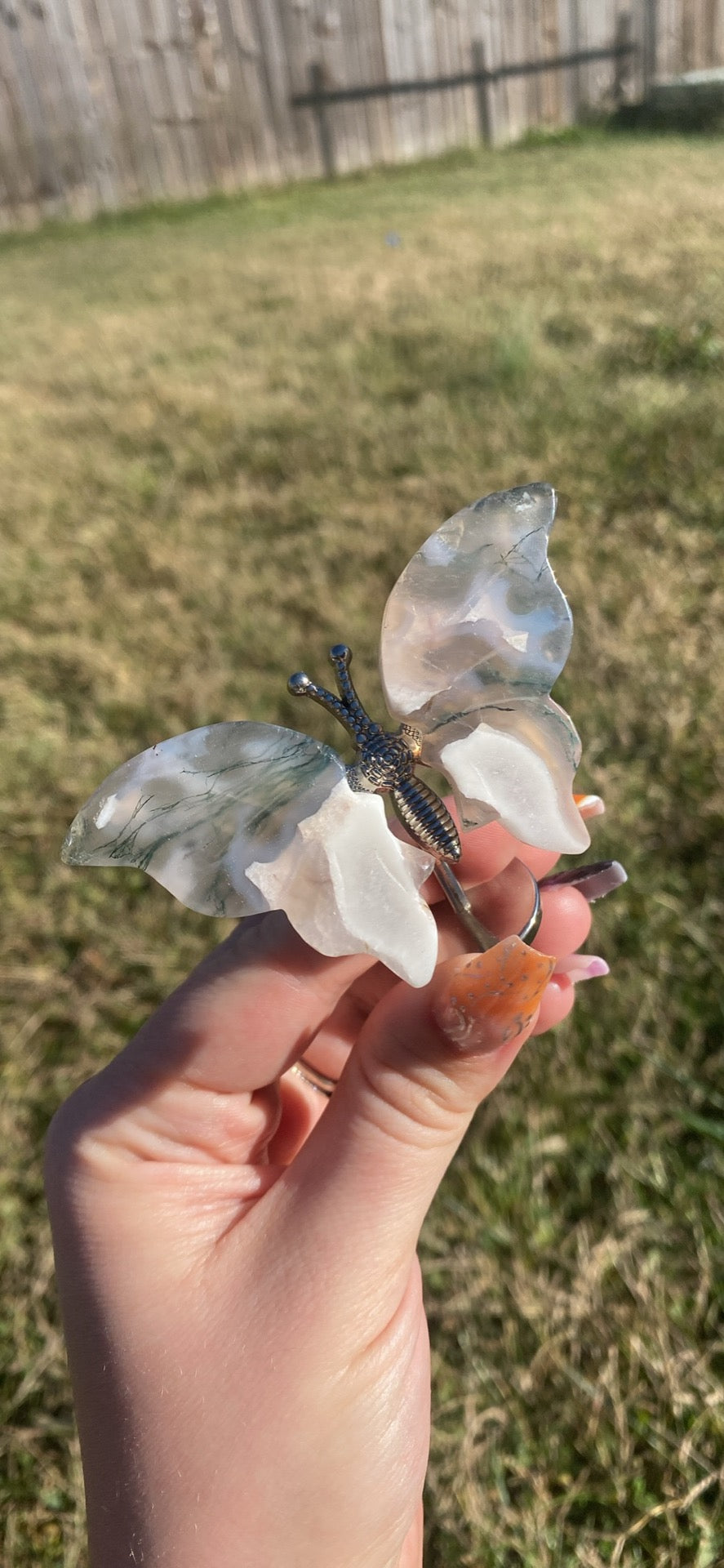Tree Agate Butterfly