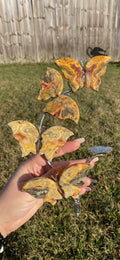 Crazy Lace Agate Butterfly Sphere Stand