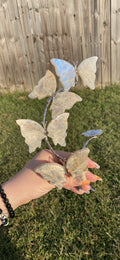 Moonstone Butterfly Sphere Stand