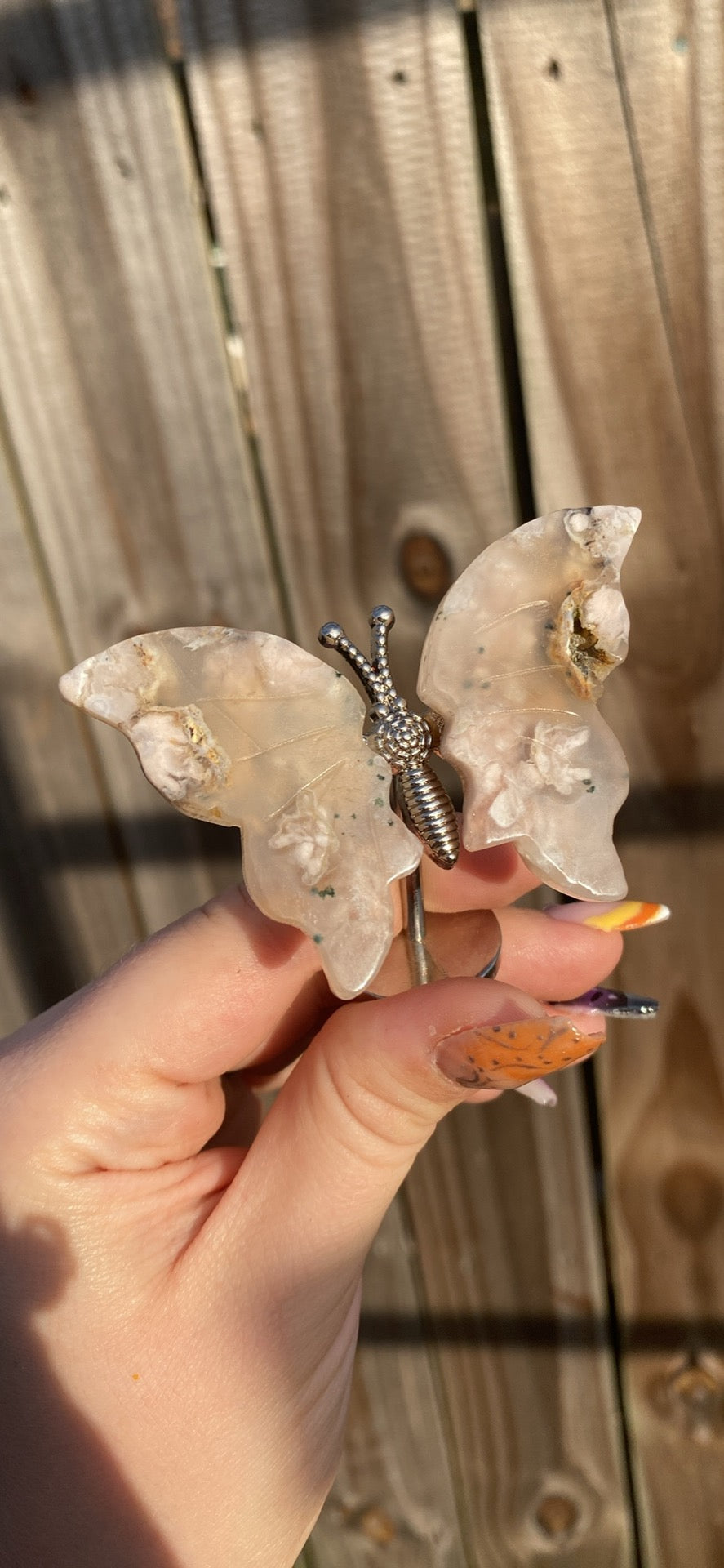 Flower Agate Butterfly